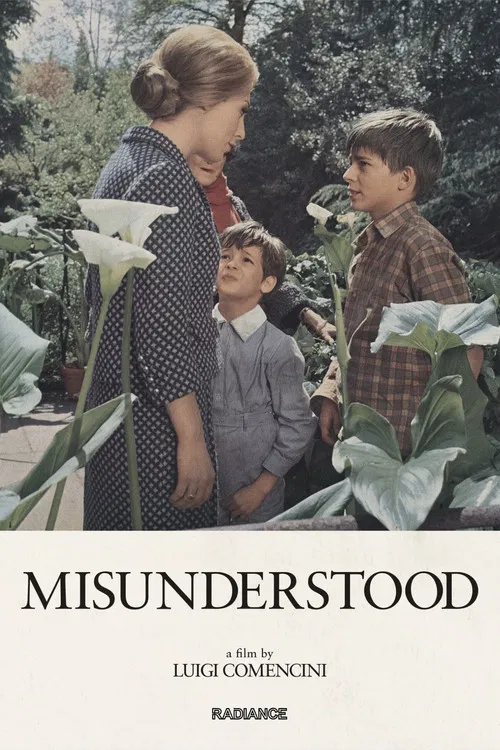 Misunderstood постер