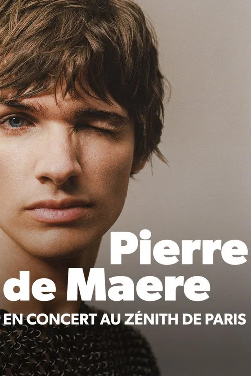 Pierre de Maere en concert au Zénith de Paris постер