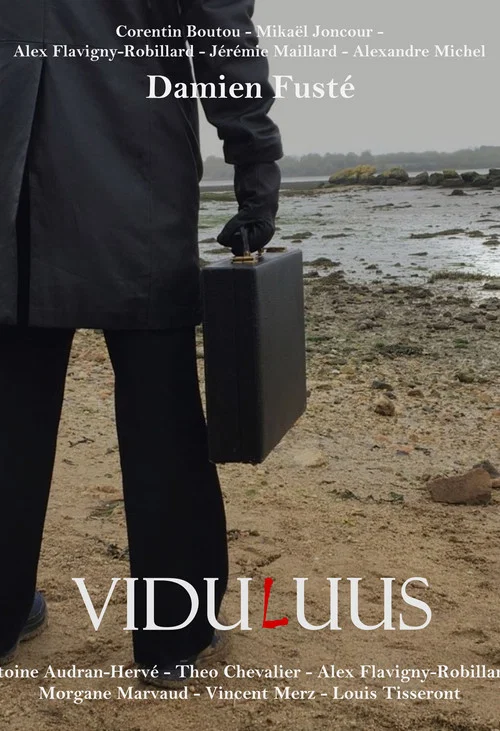 ViduLuus постер