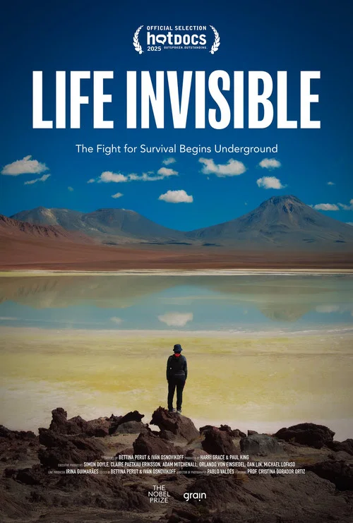 Vida invisible постер