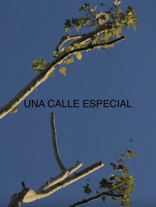 Una Calle Especial постер