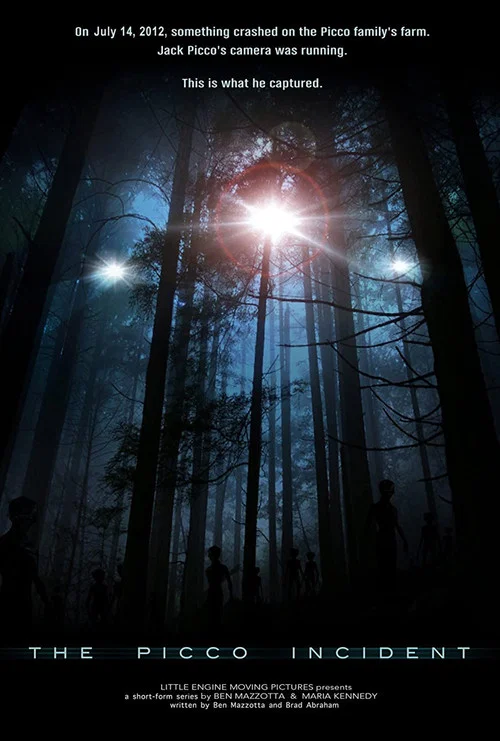 The Picco Incident постер