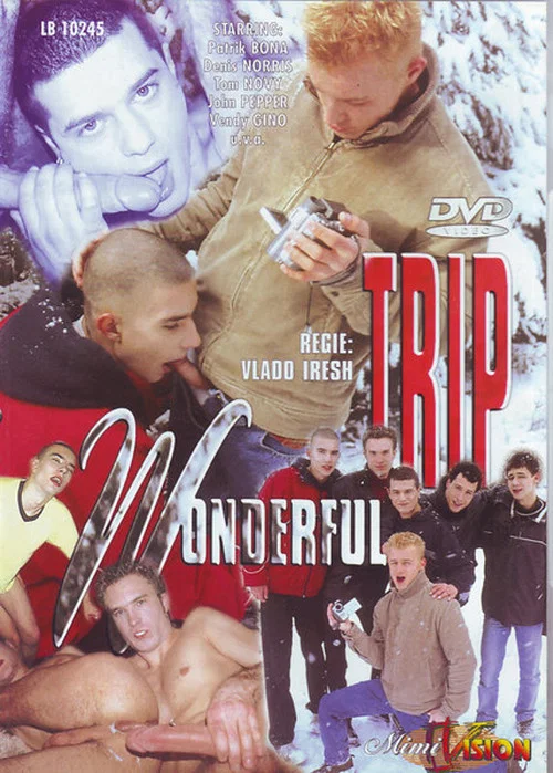 Wonderful Trip постер