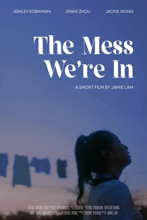 The Mess We're In постер