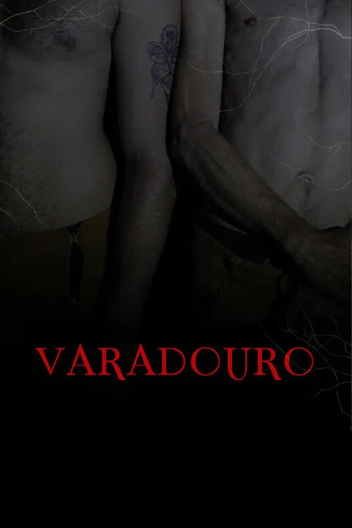 Varadouro постер