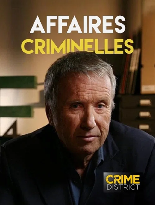 Affaires criminelles постер