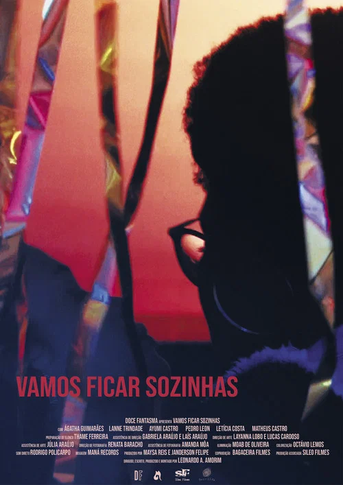 Vamos Ficar Sozinhas постер