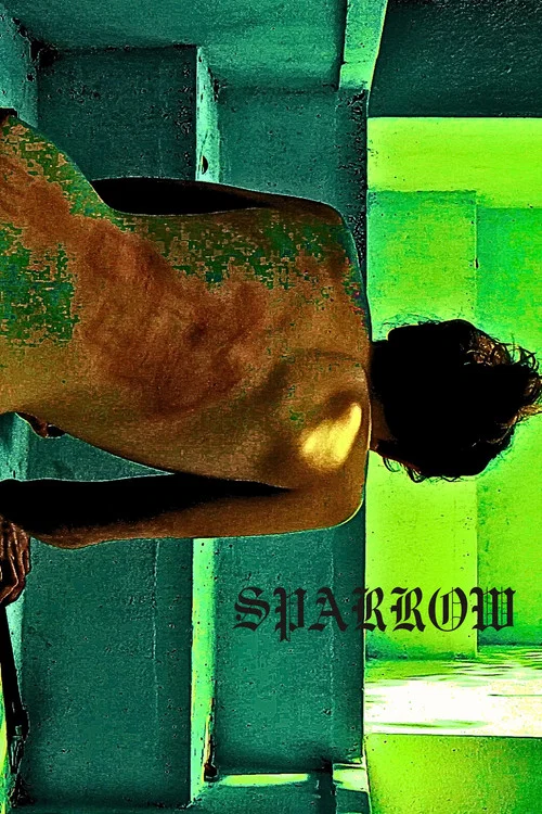 Sparrow постер