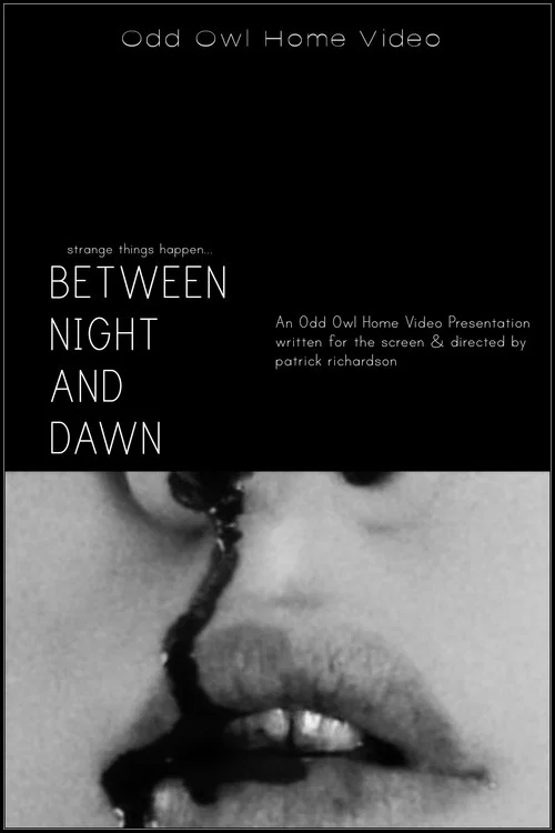 Between Night And Dawn постер