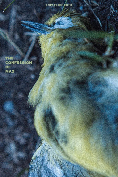 The Confession of Max постер
