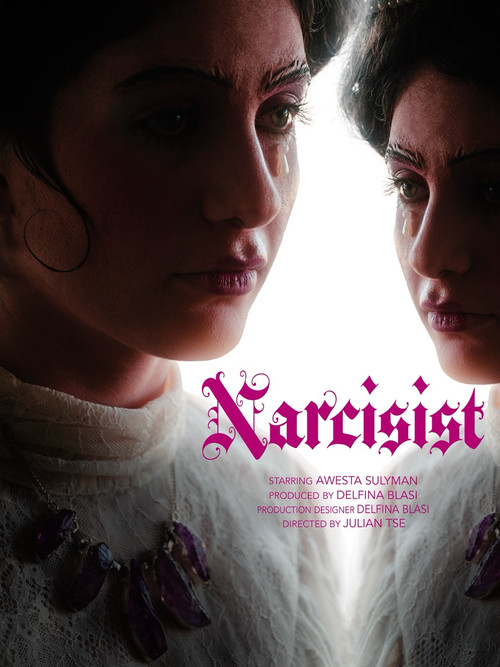 Narcisist постер