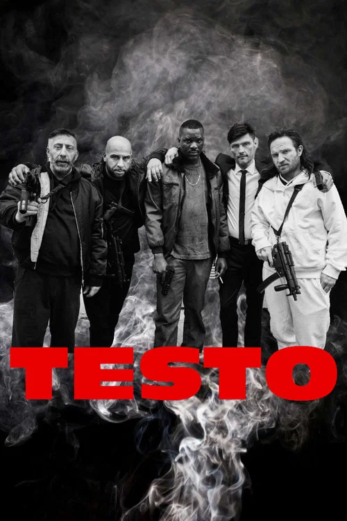 TESTO постер