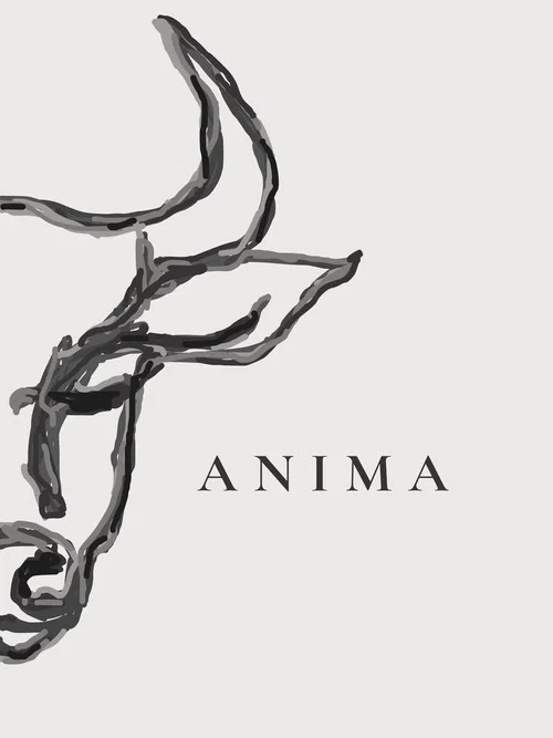 ANIMA постер