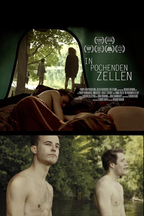 In Pocheden Zellen постер