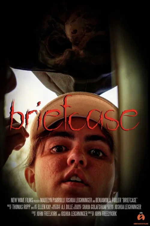 Briefcase постер