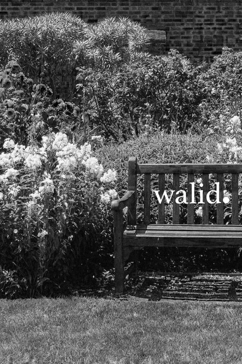 Walid постер