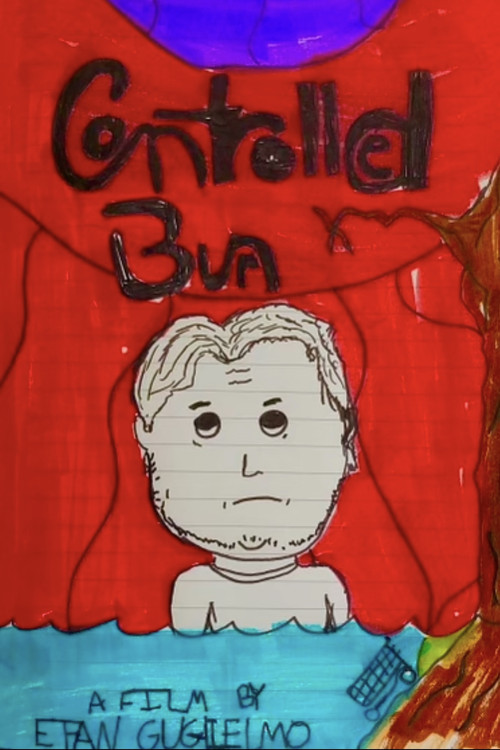 Controlled Burn постер