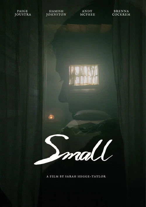 Small постер