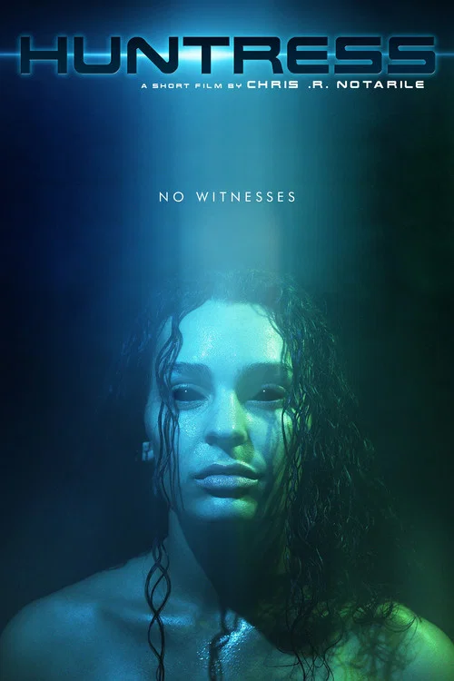 Huntress постер
