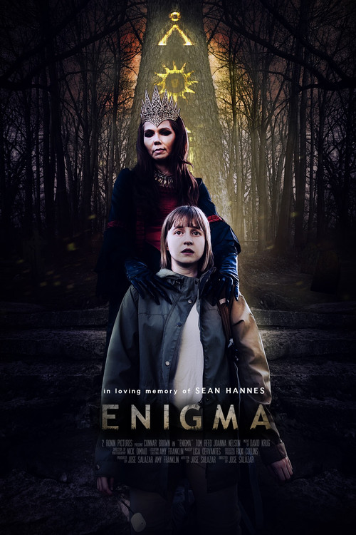 Enigma постер