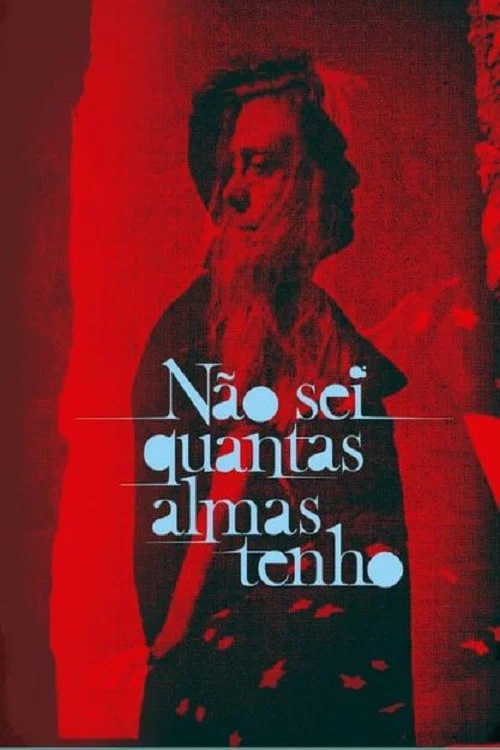 Não sei quantas almas tenho постер