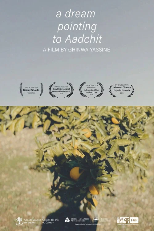 A Dream Pointing to Aadchit постер