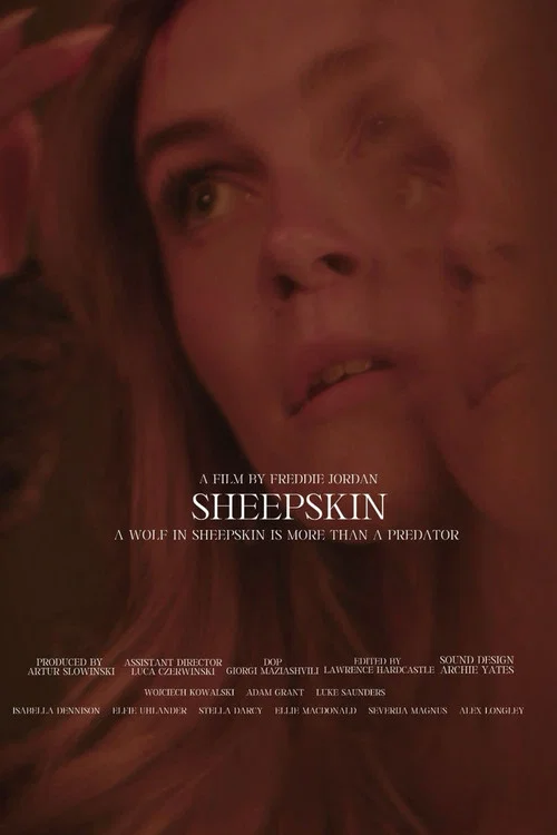 Sheepskin постер