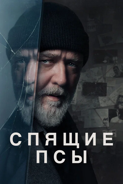 Спящие псы постер