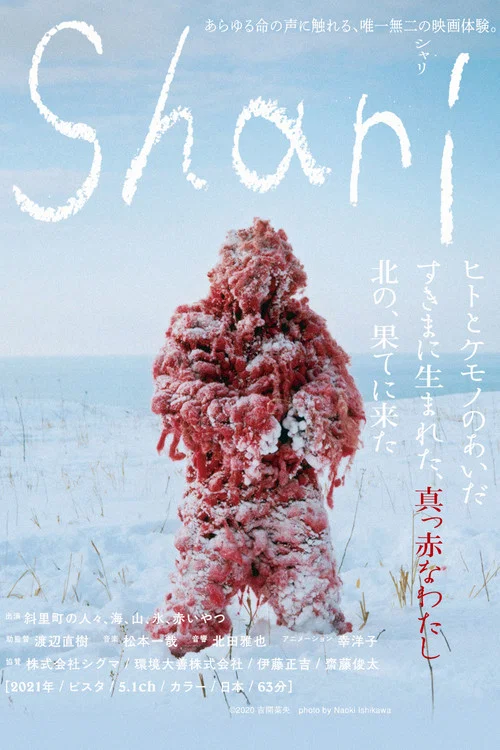 シャリ постер