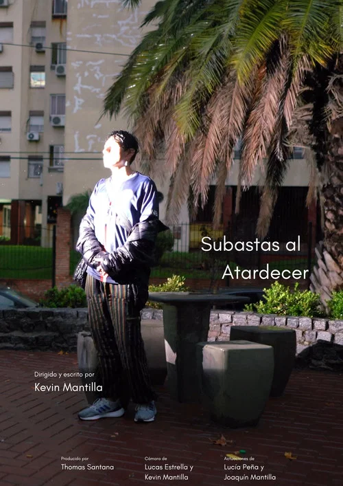 Subastas al Atardecer постер