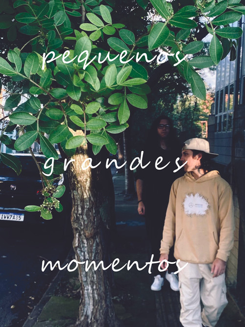 pequenos grandes momentos постер