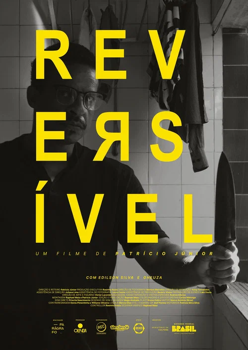 Reversível постер
