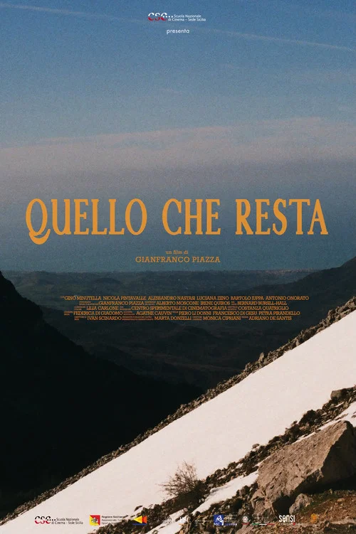 Quello che resta постер