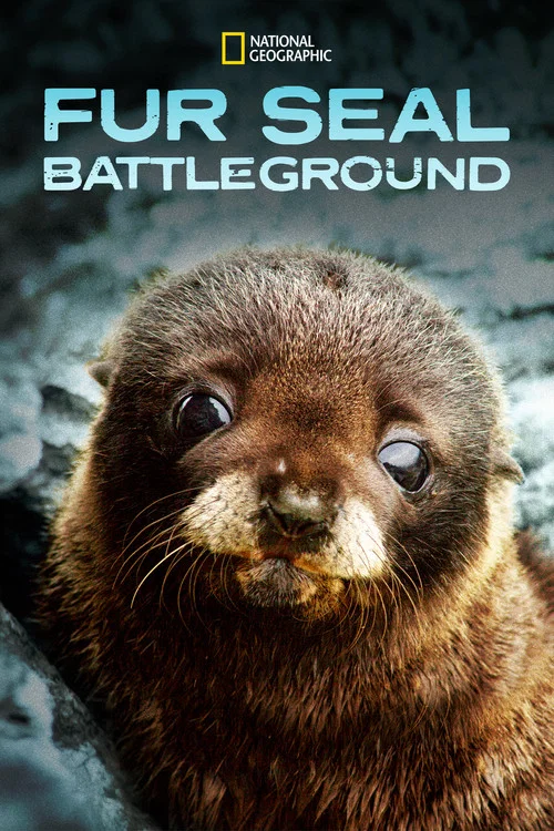 Fur Seals постер
