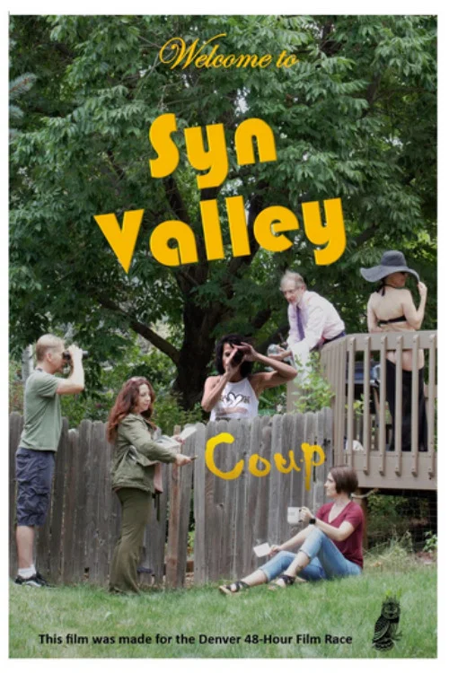 Syn Valley Coup постер