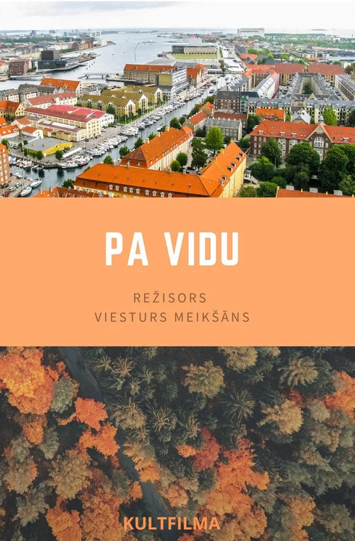 Pa vidu постер