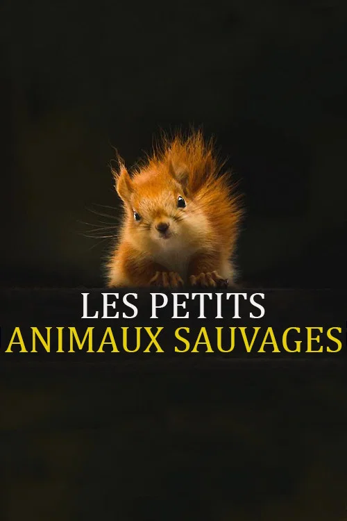 Les Petits Animaux Sauvages постер
