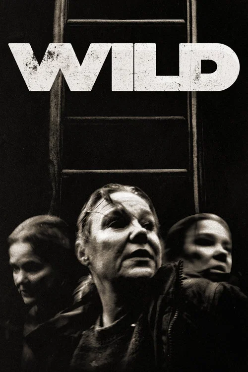 Wild постер