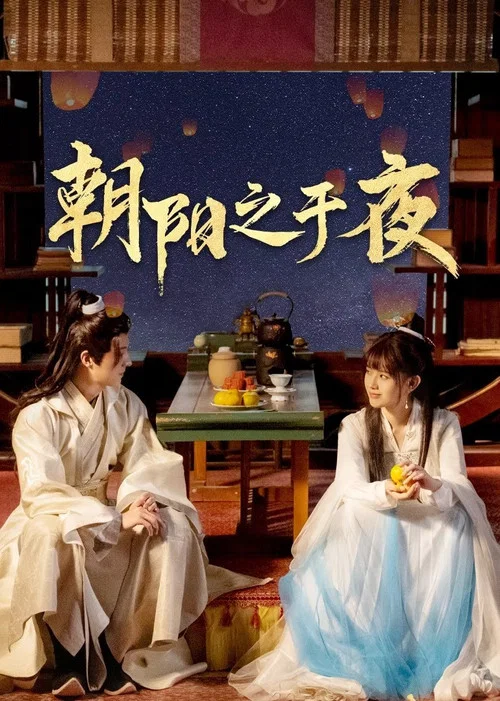 朝阳之于夜 постер