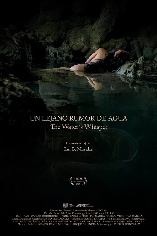 Un Lejano Rumor de Agua постер