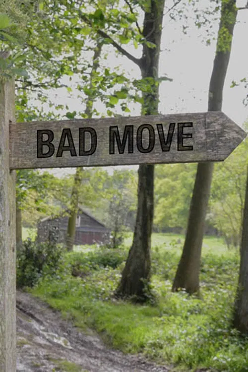 Bad Move постер