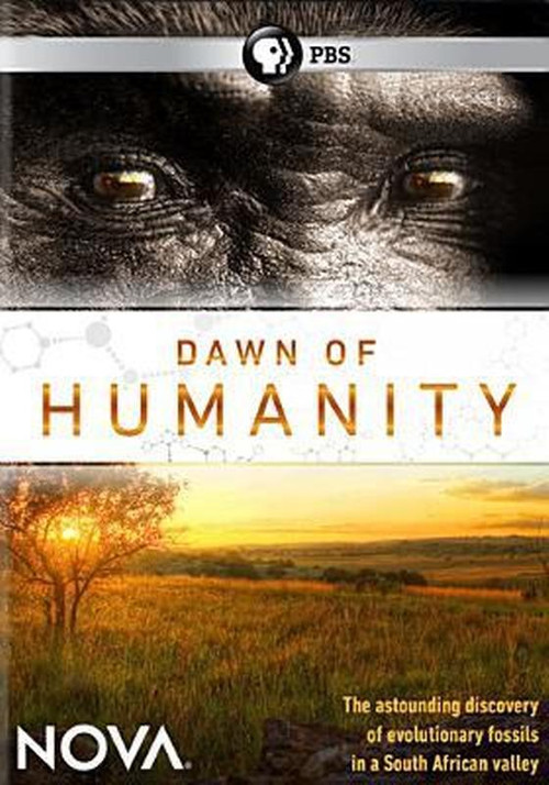 Dawn of Humanity постер