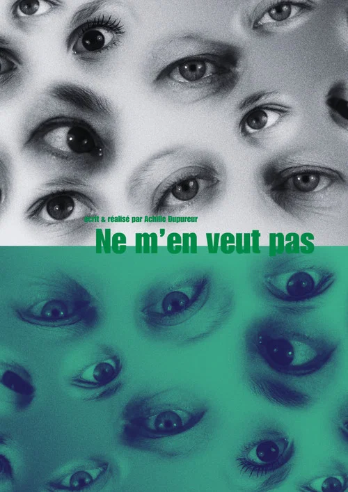 Ne m'en veux pas постер