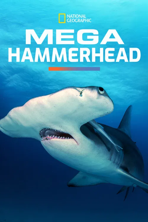Mega Hammerhead постер