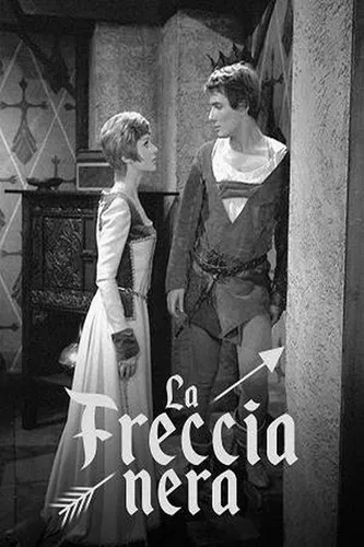 La freccia nera постер