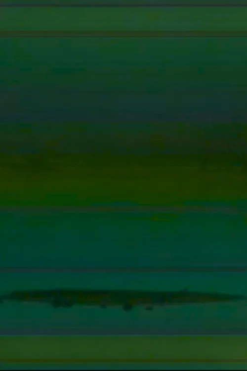 weak signal постер