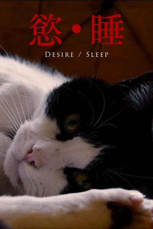 Desire/Sleep постер