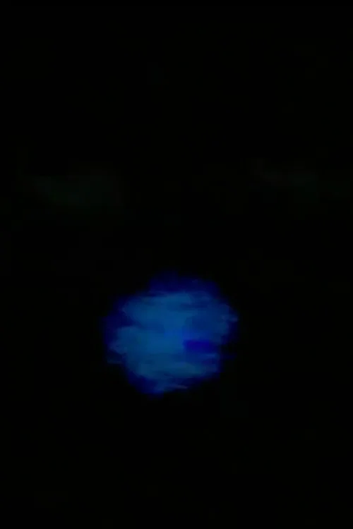FUCK MERZBOW постер