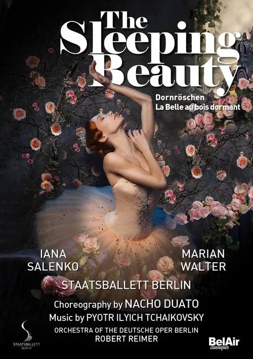 The Sleeping Beauty постер