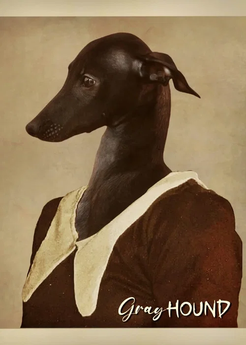 Gray Hound постер